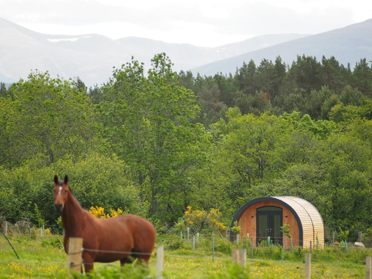 Apartamento Ptarmigan Nethy Bridge Exterior foto